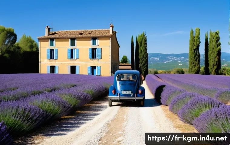 쌍용 토레스의 보험료 비교 관련 이미지 1